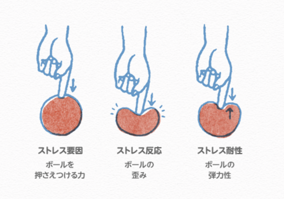 ストレス要因-ストレス反応-ストレス体制